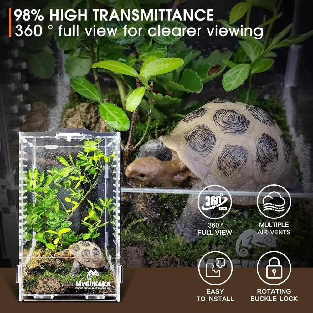 Acrylic Jumping Spider Enclosure – Escape-Proof Reptile Habitat Reptile Enclosure Nixie