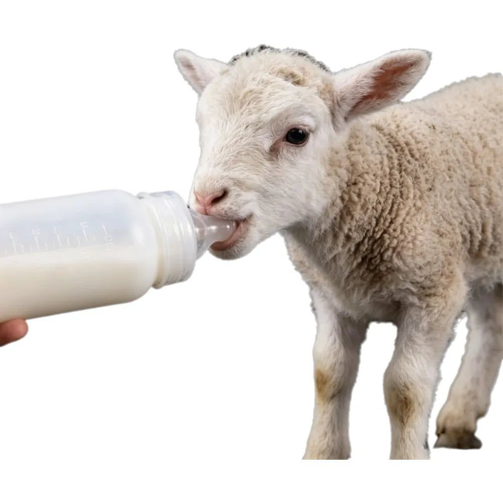 250ml Pet Nursing Feeding Bottle with Silicone Nipple Pet Nursing Bottle Nixie