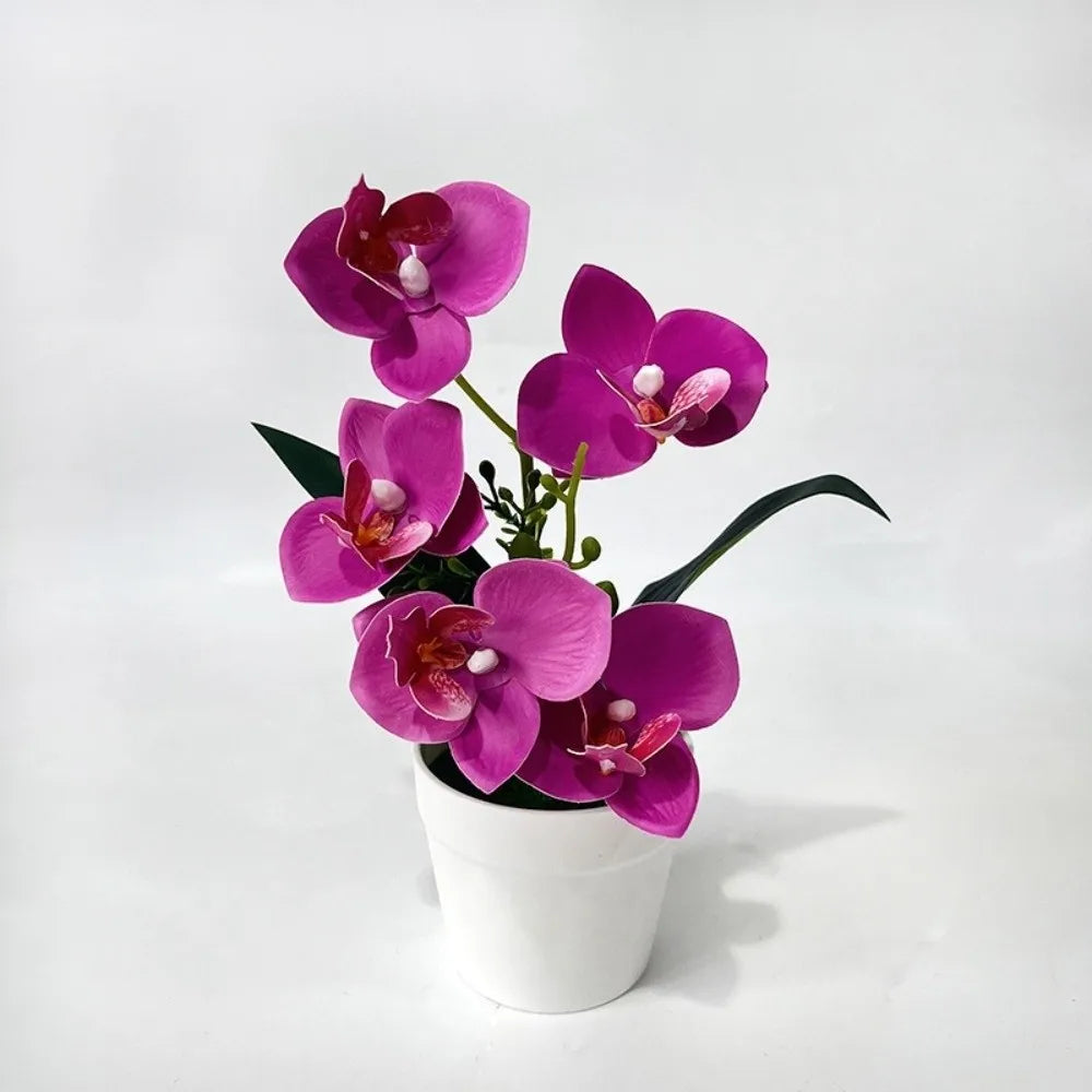 Artificial Orchid Potted Plant – 5 Blooms, Pink & White, 24cm