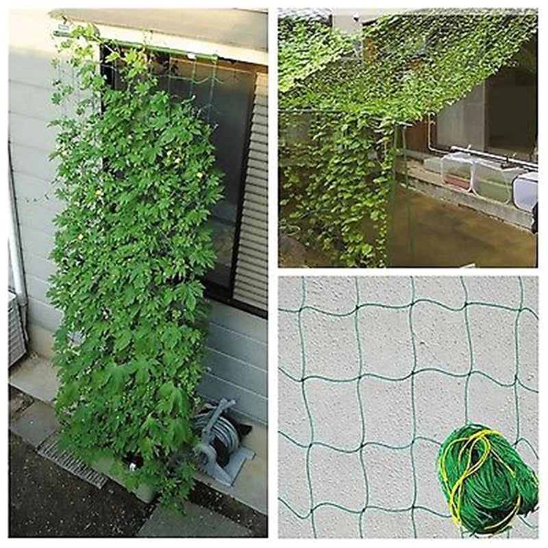 1.8x1.8m Nylon Lattice Climbing Plant Support Net – Garden Mesh Climbing Plant Net Nixie