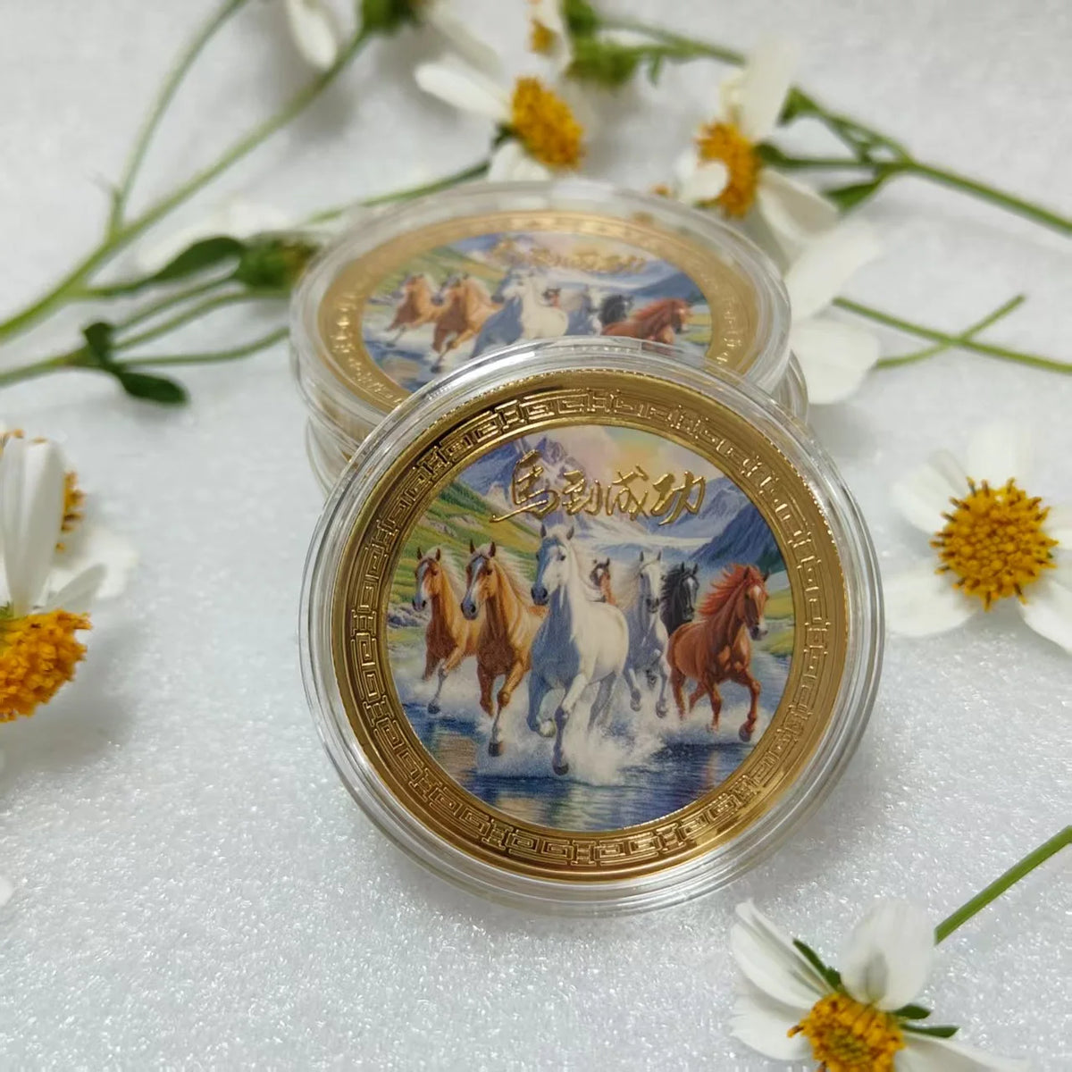 2026 Year of the Horse Commemorative Coins | Lucky New Year Gift Commemorative Coin Nixie