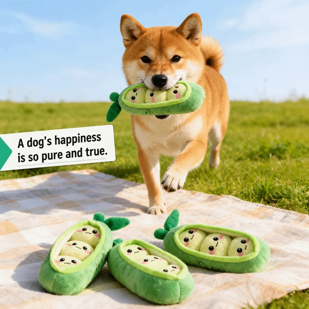 Squeaky Pea Pod Dog Chew Toy – Bite-Resistant & Interactive Dog Chew Toy Nixie