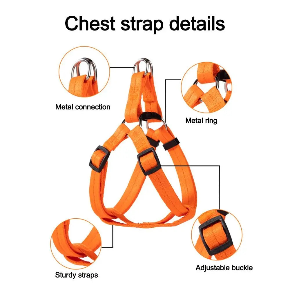 Adjustable Breathable Dog & Cat Vest Harness – S & M