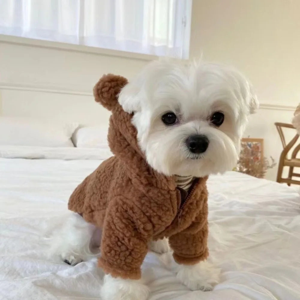 Cartoon Bear Plush Dog Hoodie with Hat | Warm Winter Pet Coat Pet Winter Hoodie Nixie