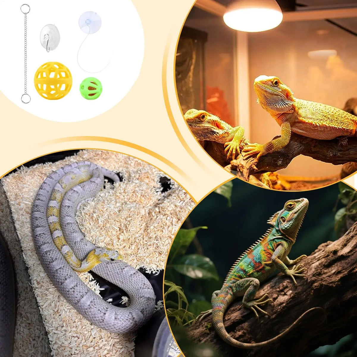 Bearded Dragon Enrichment Feeding Ball with Suction Cup Toy Reptile Enrichment Toy Nixie