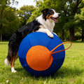 Large Inflatable Dog Ball – Durable Interactive Herding Toy Interactive Dog Toy Nixie Default Title
