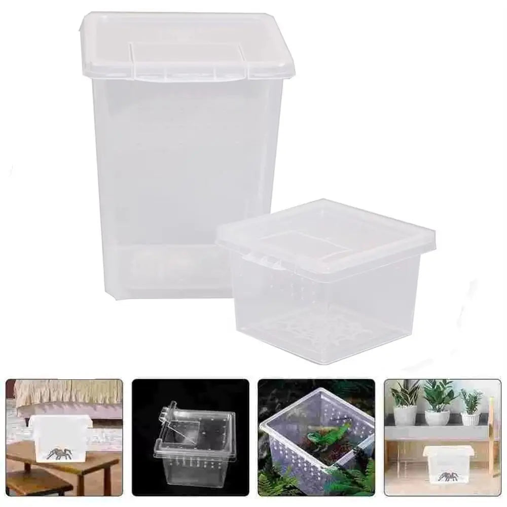 Clear Plastic Reptile Habitat Box – Anti-Escape Breeding & Feeding Reptile Habitat Box Nixie