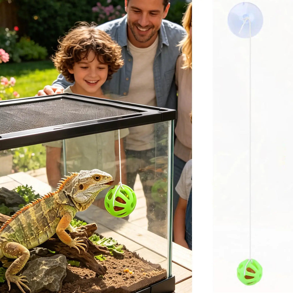 Bearded Dragon Enrichment Feeding Ball with Suction Cup Toy Reptile Enrichment Toy Nixie