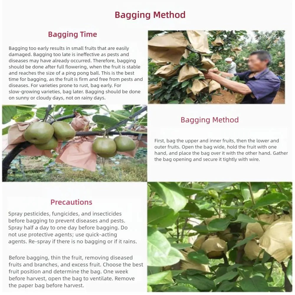 100PCS Breathable Fruit Protection Bags – Waterproof & Pest Guard Fruit Protection Bags Nixie