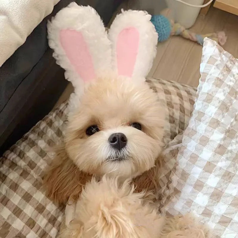 Cute Bear Rabbit Hooded Pet Hat – Soft Fleece Cat & Dog Cosplay Pet Costume Hat Nixie