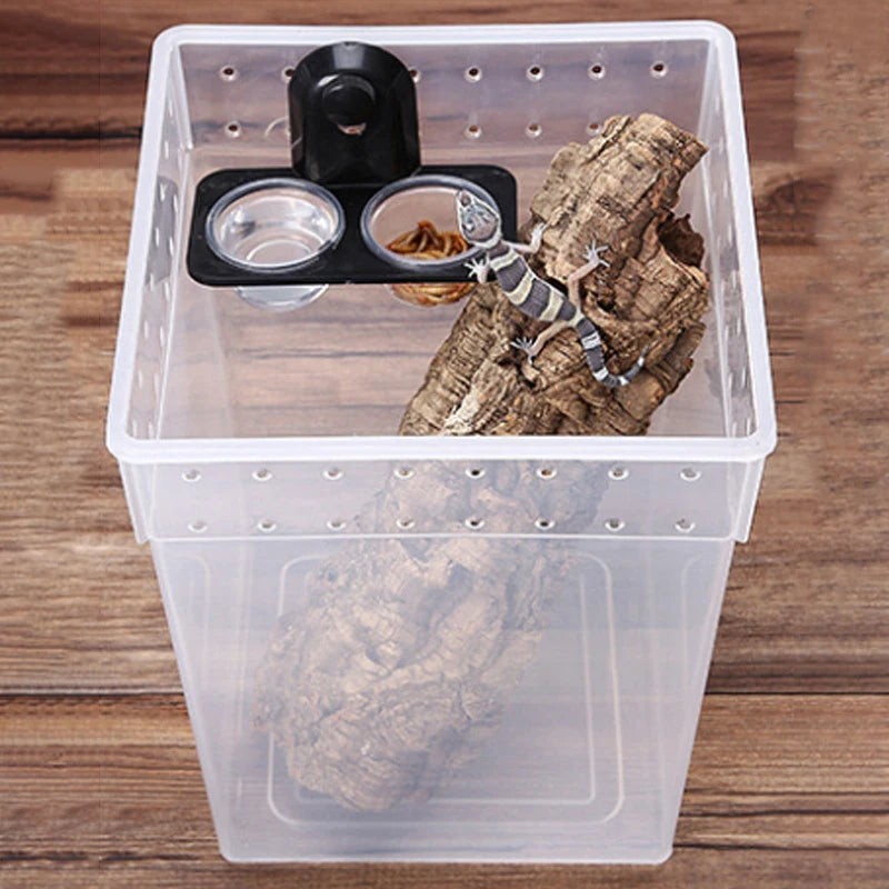 Reptile Feeding Bowl & Water Dish – Snake, Gecko Terrarium