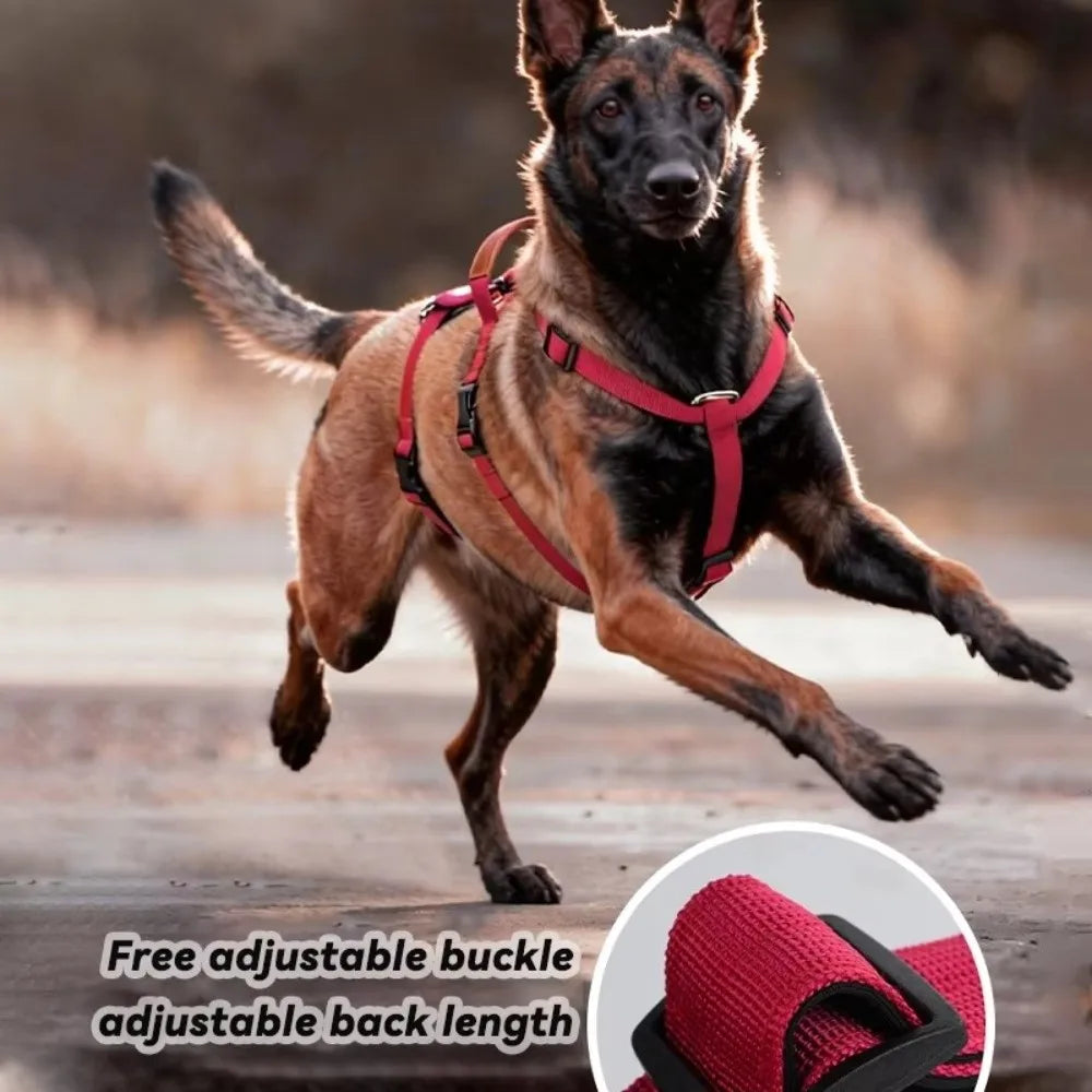 No-Pull Dog Harness Adjustable Nylon Vest for Large Dogs Dog Harness Nixie