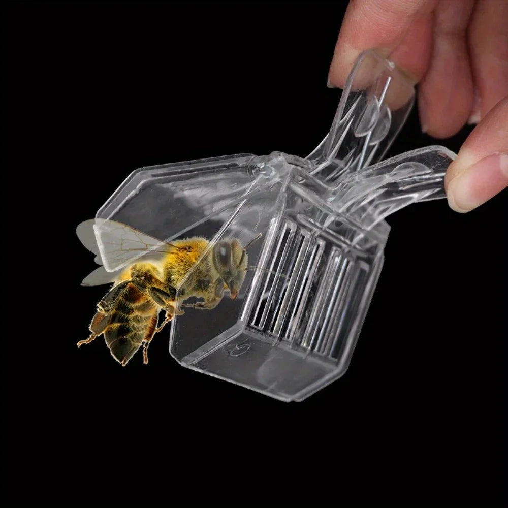 Queen Bee Catcher Clip Cage | Beekeeping Tool 1 or 5 Pcs
