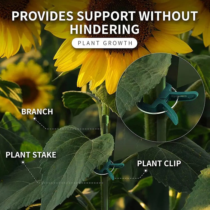 20Pcs Reusable Plant Support Clips for Vines & Seedlings Plant Support Clips Nixie