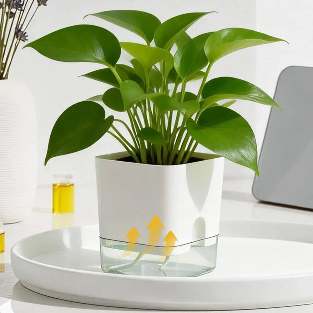 Self Watering Indoor Planter with Reservoir & Drainage Pot