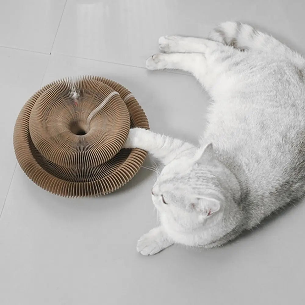 Kitty Kurlz Accordion Cat Toy – Scratch Pad & Bell Ball