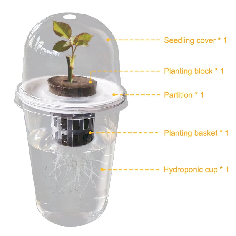 Hydroponic Planter Pots – Transparent Root View Seedling Cups Hydroponic Planter Pots Nixie