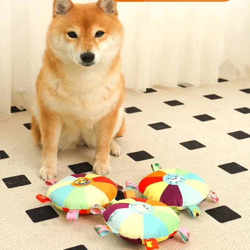 Hot Dog Squeaky Plush Dog Toy – Bite Resistant Chew Toy Dog Squeaky Toy Nixie