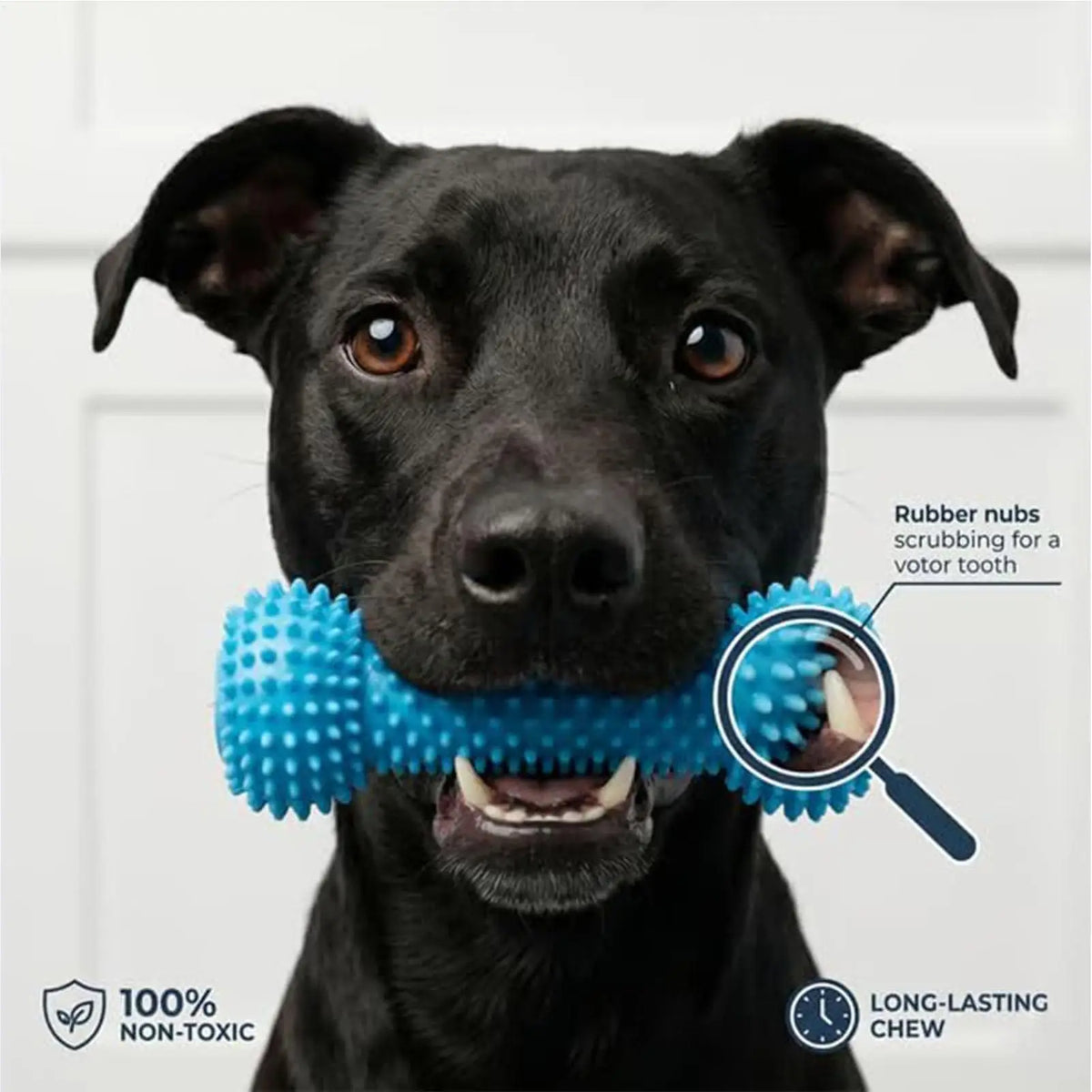Dog Dental Chew Toy – Teeth Cleaning & Fresh Breath | Nixie Dog Dental Chew Toy Nixie