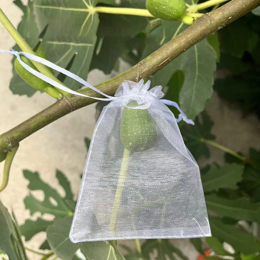 Reusable Mesh Fruit Protection Bags with Drawstring – 10–40 Pack Garden Mesh Bags Nixie