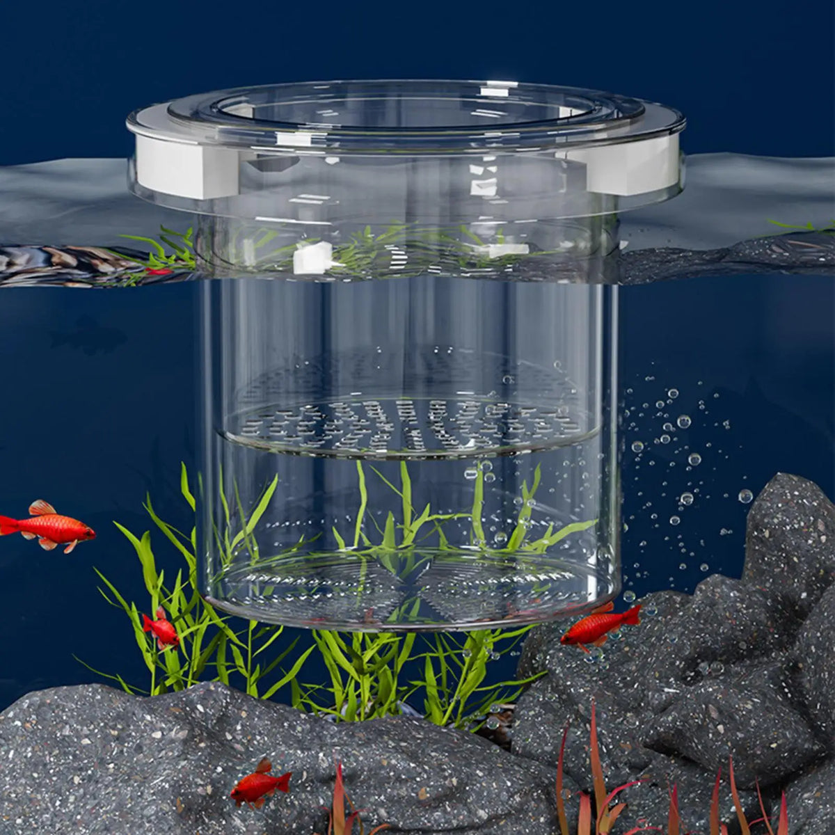 Floating Fish Tank Breeder Box – Hatchery & Isolation Box
