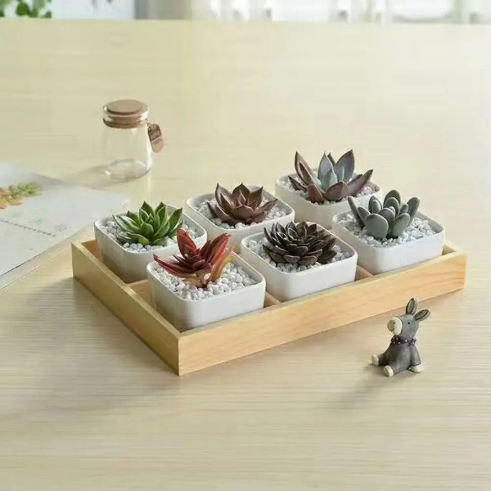 Multi-Grid Wood Succulent Tray & Desktop Organizer Holder Wood Planter Tray Nixie