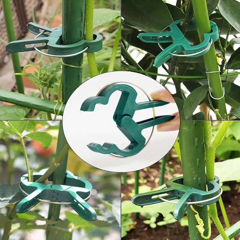 20Pcs Reusable Plant Support Clips for Vines & Seedlings Plant Support Clips Nixie