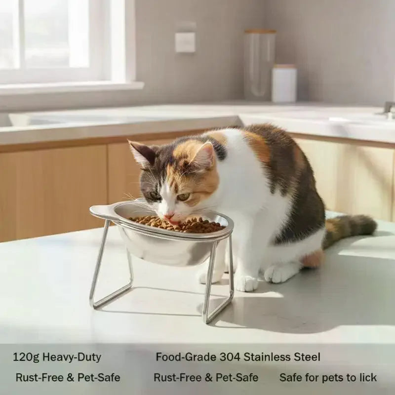 Stainless Steel Pet Bowl for Cats & Dogs | Elevated Neck Support