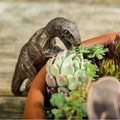 Resin Climbing Dinosaur Ornament – Garden & Patio Décor Garden Ornament Nixie Default Title