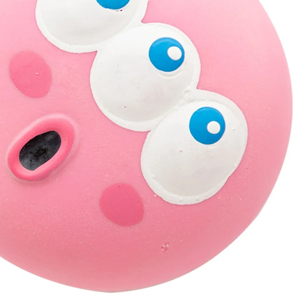 Eco Latex Squeaky Dog Toy Ball – Cartoon Chew & Fetch Toy Dog Squeaky Toy Nixie