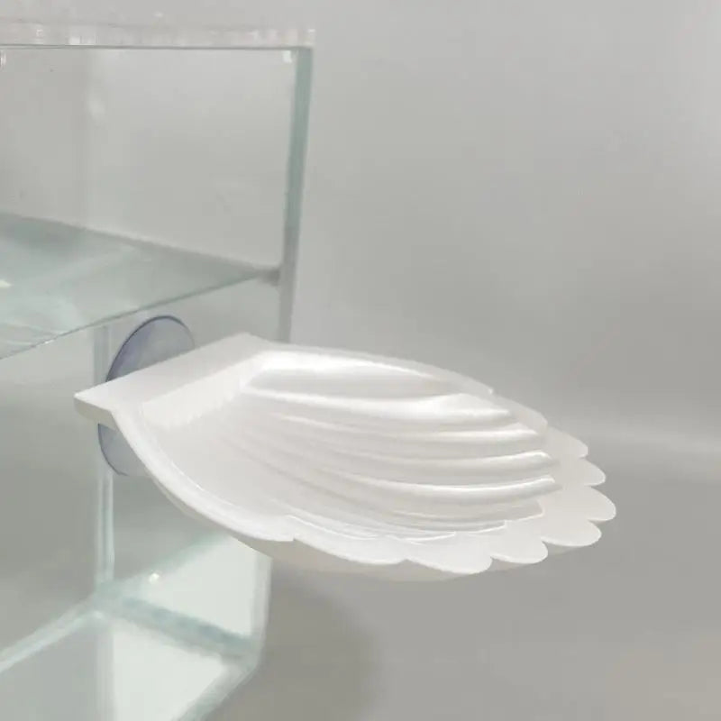 Betta Fish Shell Rest Platform with Suction Cup | 2 Sizes
