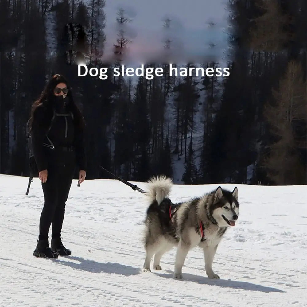 Reflective Dog Sled Harness – Adjustable Skijoring & Pulling