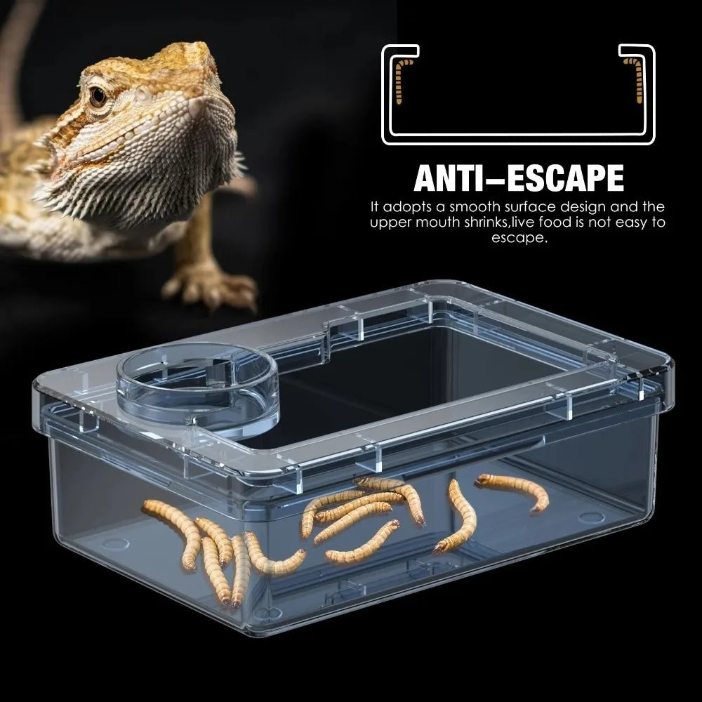 Reptile Feeding Bowls – Anti-Tip Transparent Dish for Lizards & Geckos Reptile Feeding Bowl Nixie