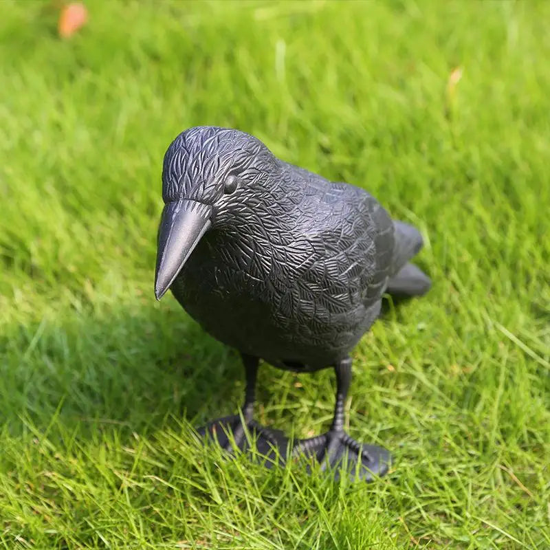 Realistic Black Crow Raven Decoy – Garden Bird Scare Ornament Garden Bird Decoy Nixie