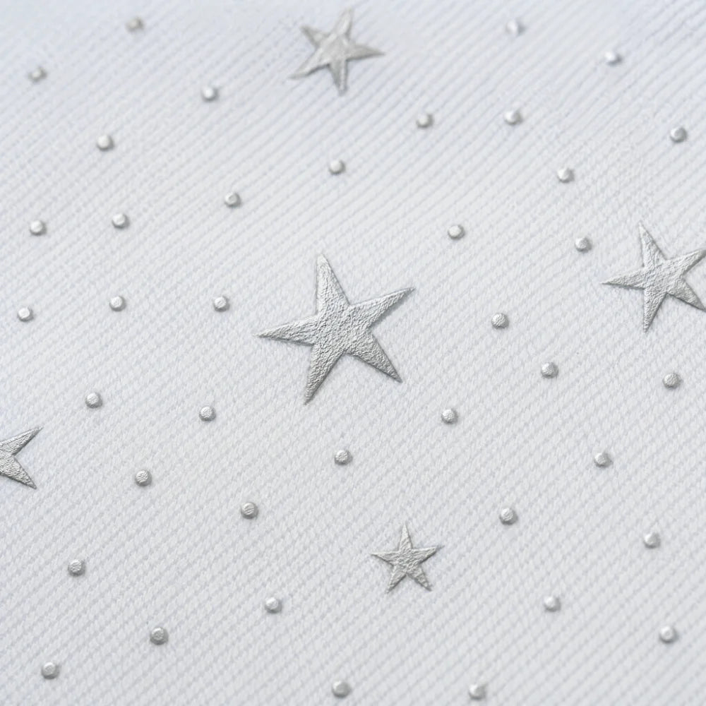 Star Polka Dot Pencil Case – Large Canvas Pen Bag for School
