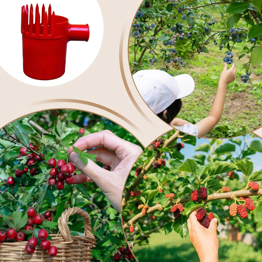 Berry Picker Tool – Fruit Scoop with Comb Teeth & Pole Extension