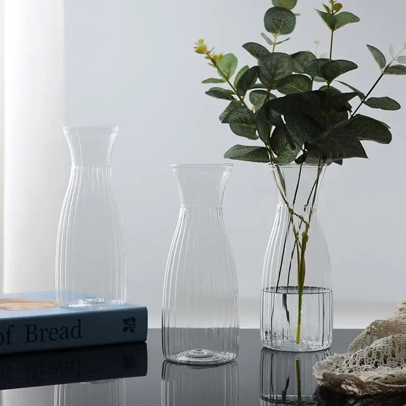 Minimalist Nordic Transparent Vase – Flowers & Hydroponics Decorative Vase Nixie