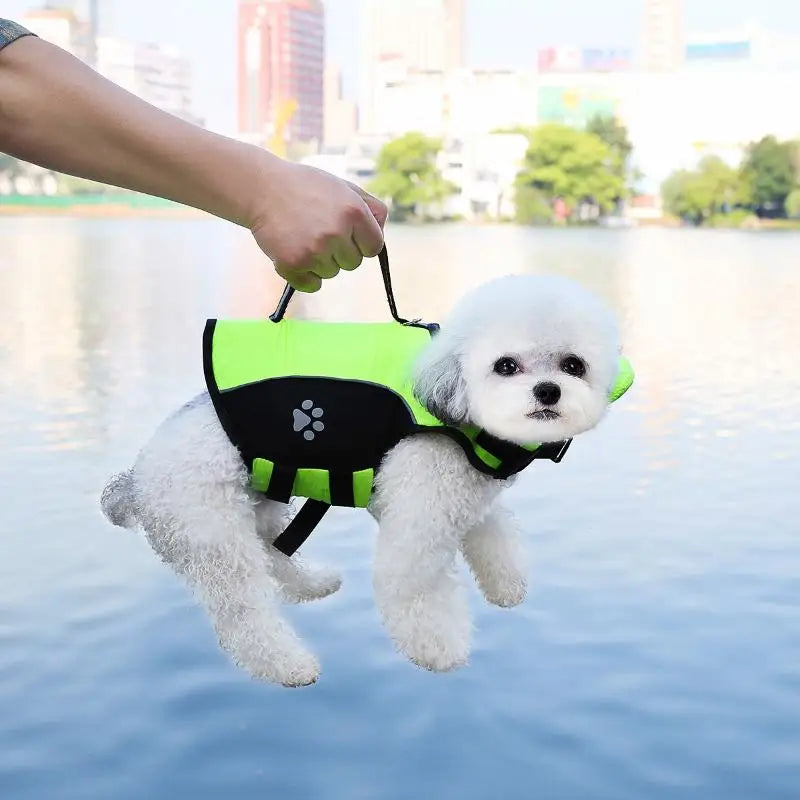 Dog Life Jacket – Adjustable Pet Safety Vest for Swimming & Boating Dog Life Jacket Nixie E XXL