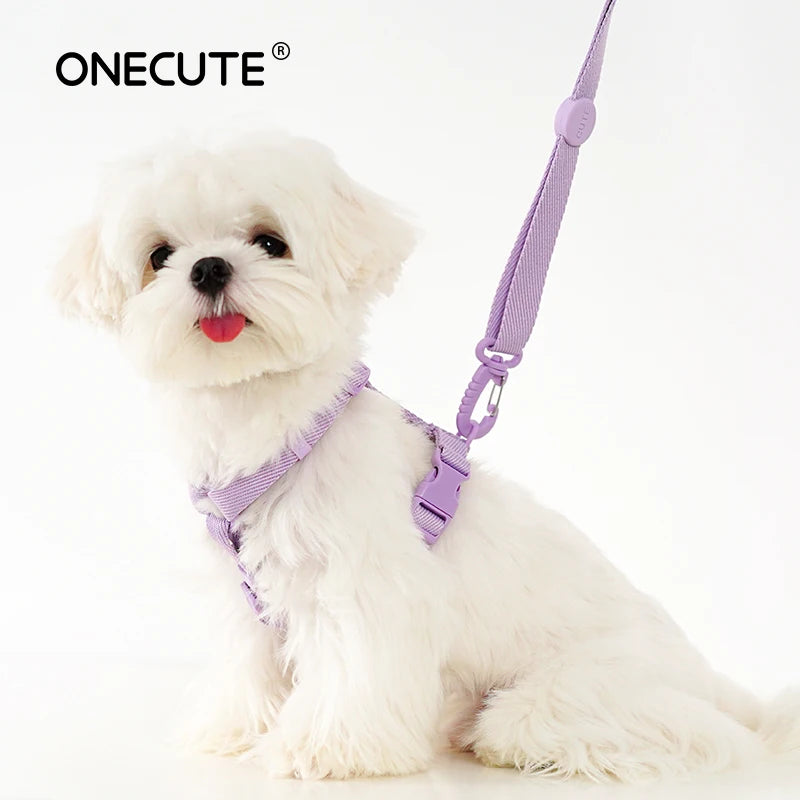Macaroon Color Dog Harness Collar & Leash Set – Small Dogs Pet Harness Set Nixie
