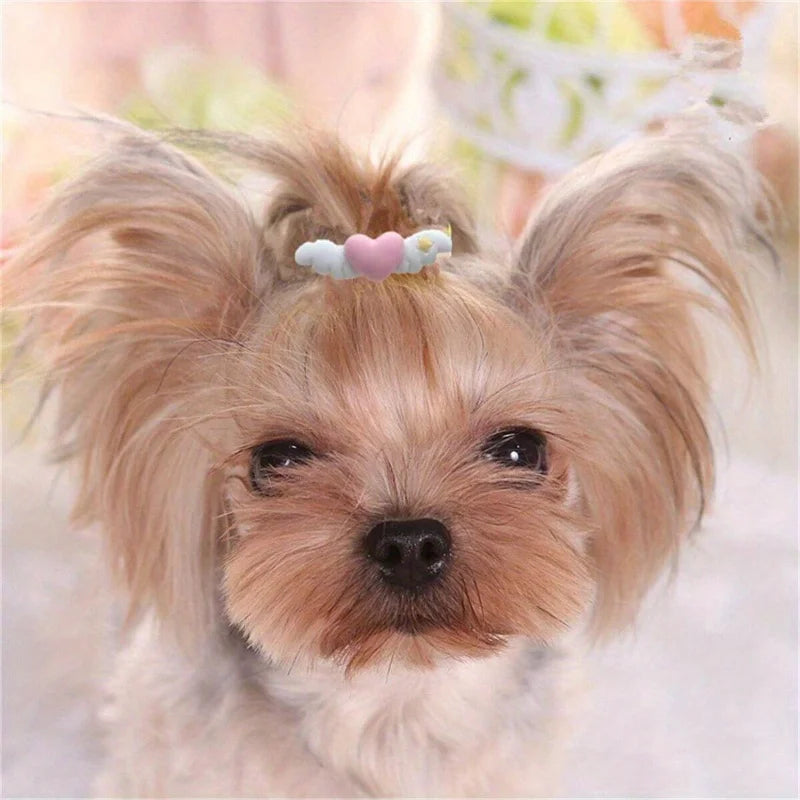 2 PCS Cat & Dog Love Wings Hair Clips | Party Accessories Hair Clips Nixie