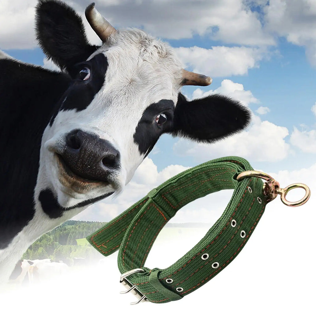 Adjustable Livestock Collar for Cattle, Sheep & Goats