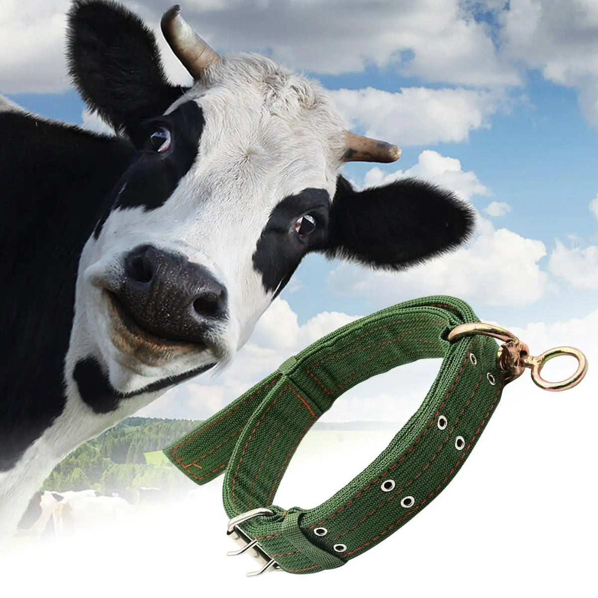 Adjustable Livestock Collar for Cattle, Sheep & Goats