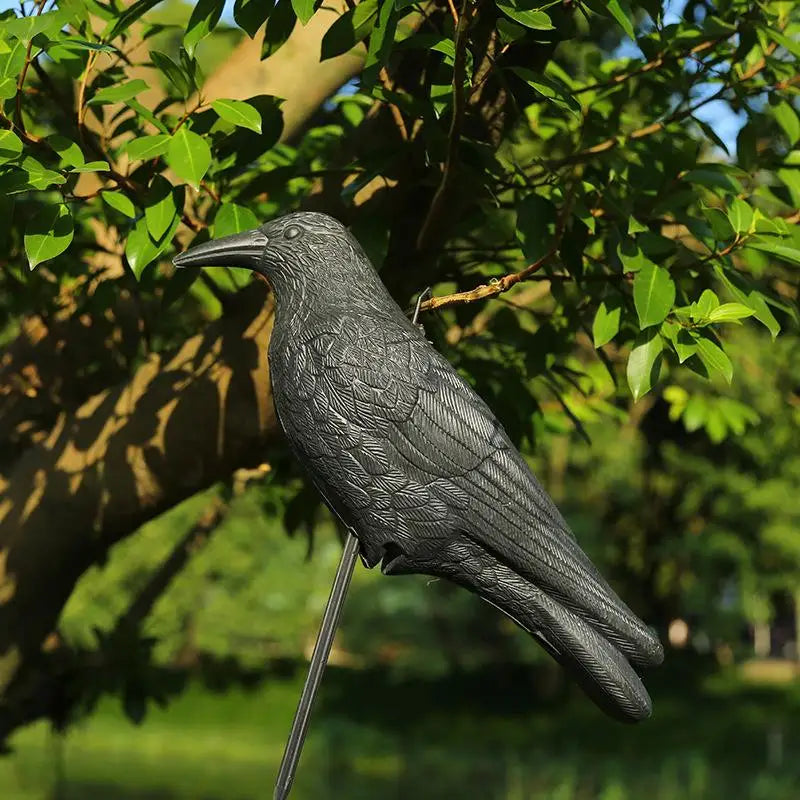 Realistic Black Crow Raven Decoy – Garden Bird Scare Ornament Garden Bird Decoy Nixie