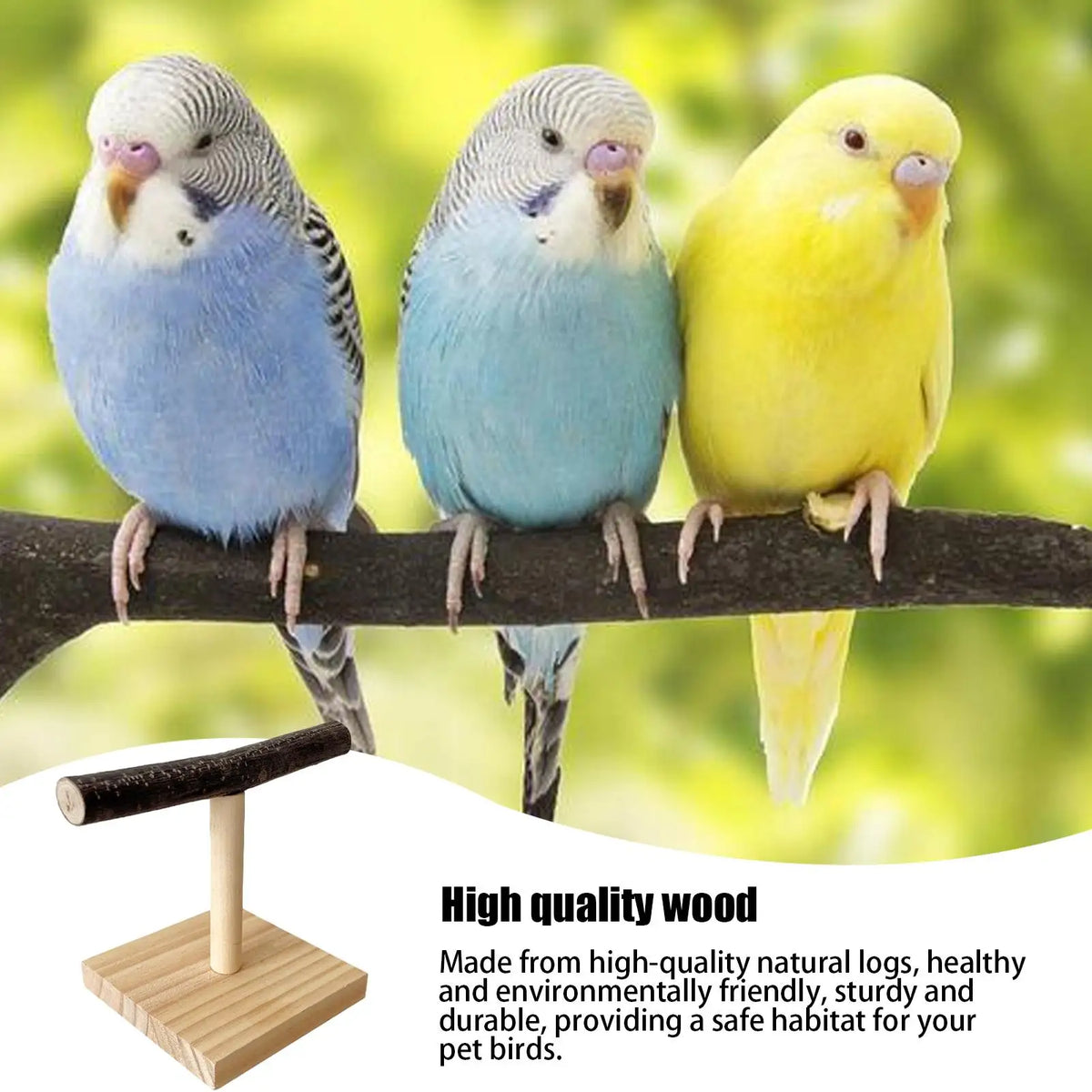Natural Wood T-Shape Parrot Perch Stand | Desktop Bird Station Bird Perch Stand Nixie