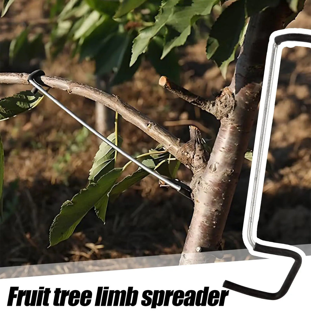 10Pcs Fruit Tree Branch Spreader & Limb Bending Tool Tree Branch Spreader Nixie