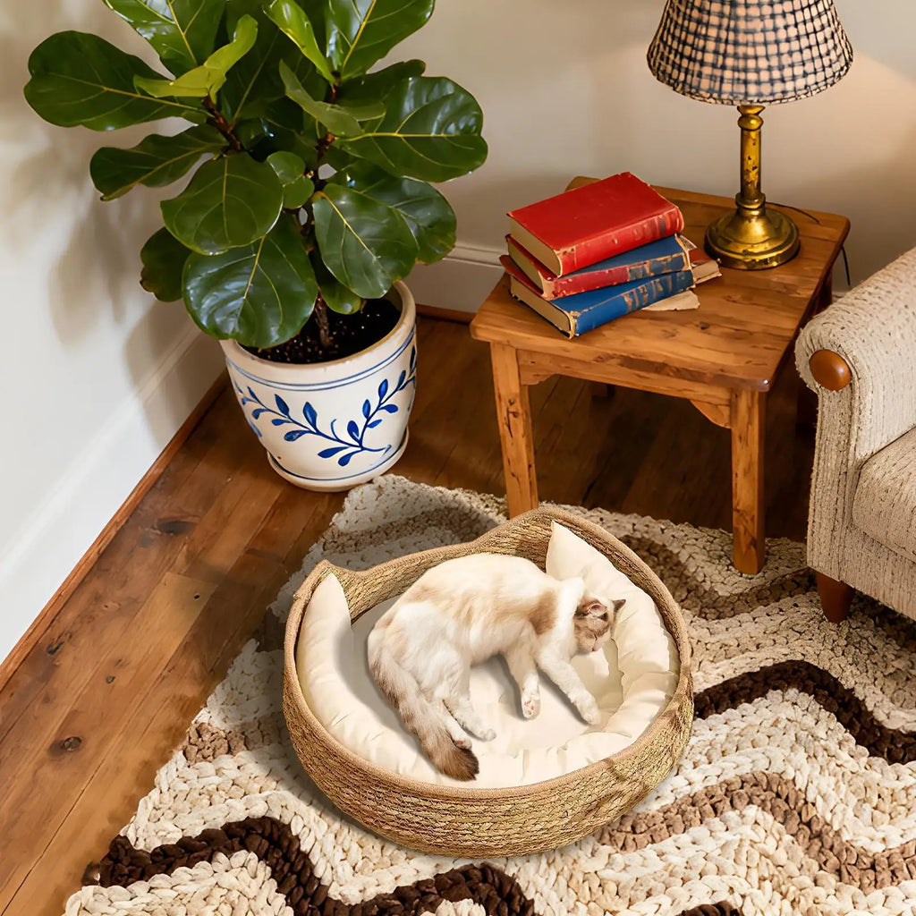 Woven Cat Bed with Cushion & Pillow – All Season Pet Nest
