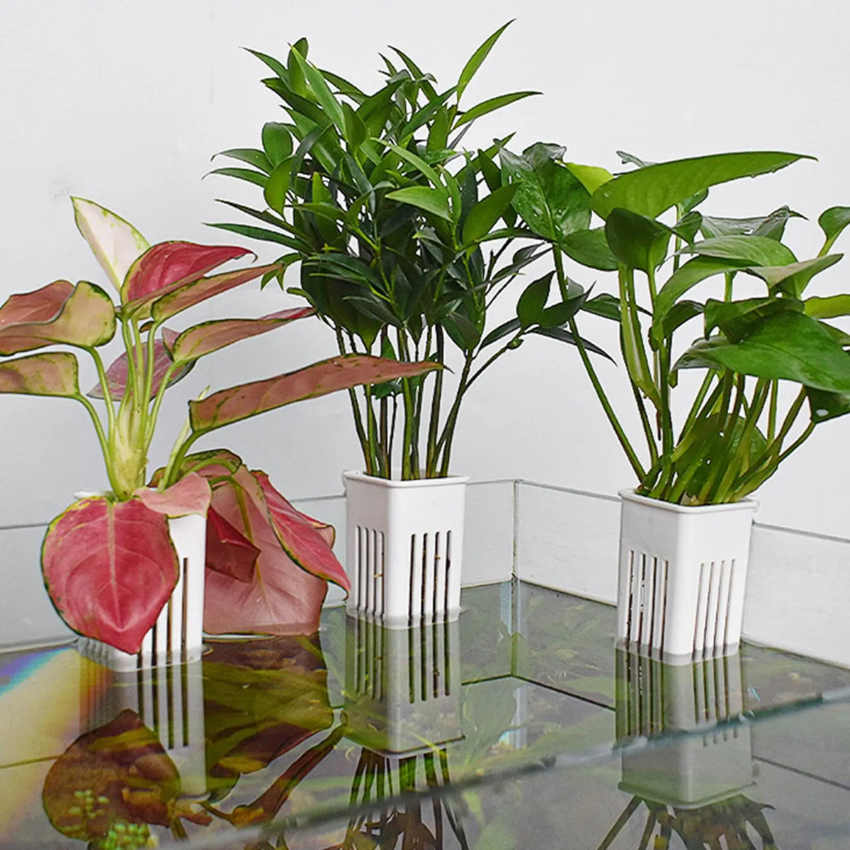 Aquarium Plant Holder – Top-Mount Fish Tank Flowerpot Cup