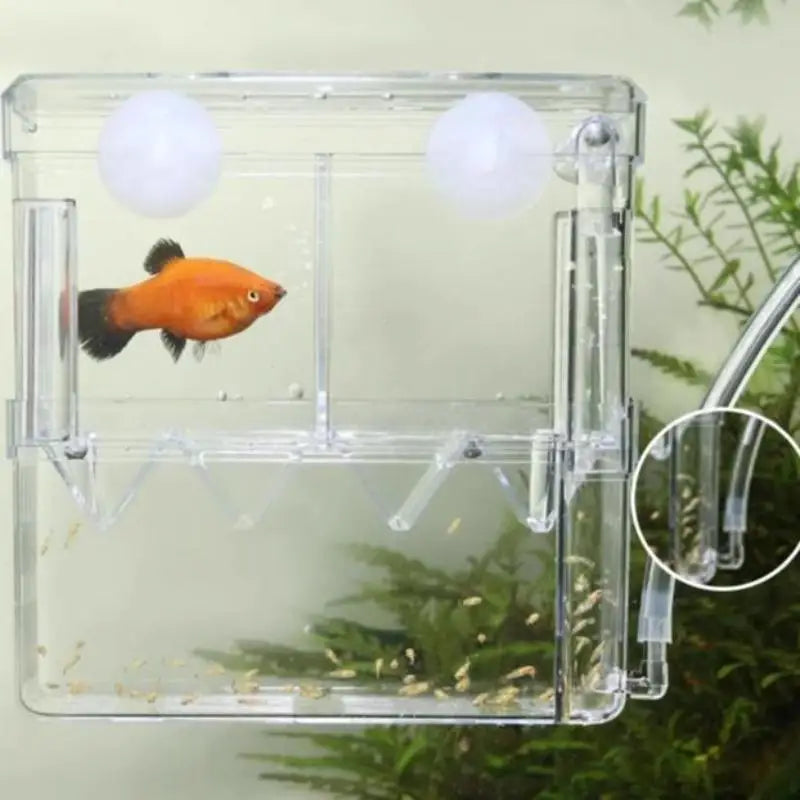 Acrylic Fish Breeding Isolation Box – Aquarium Hatchery Aquarium Breeder Box Nixie