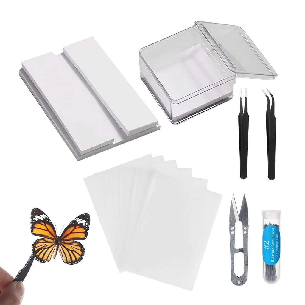 Butterfly Specimen Making Kit – Insect Pin Wing Board DIY Tool