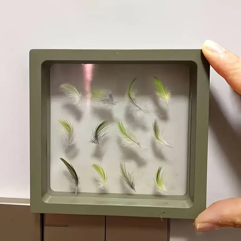 Transparent Pet Bird Feather Memorial Photo Frame Display Box